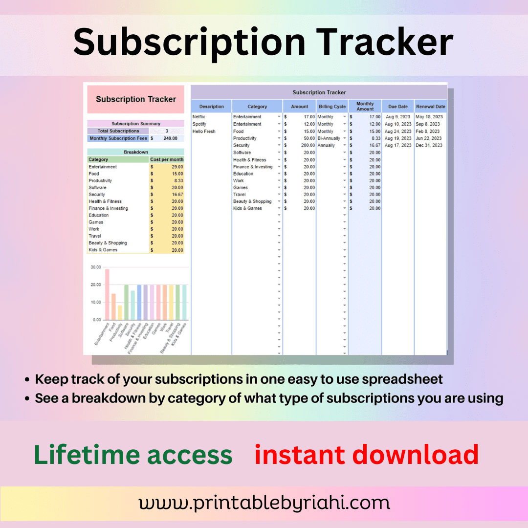 User-friendly Printablebyriahi Annual & Monthly Budget Spreadsheet displayed on a laptop, showcasing clear financial charts and customizable expense categories